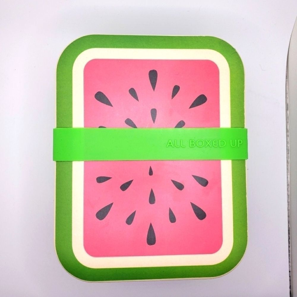 Eco one all boxed up watermelon lunch box